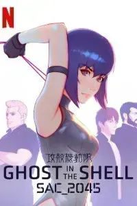 Download Ghost in the Shell SAC_2045 (Season 1-2) Dual Audio {Hindi-English} WeB-DL 720p [150MB] || 1080p [500MB]
